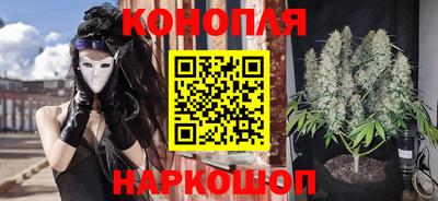 сатива Коммунар