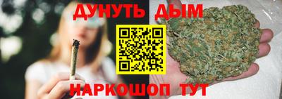 сатива Коммунар