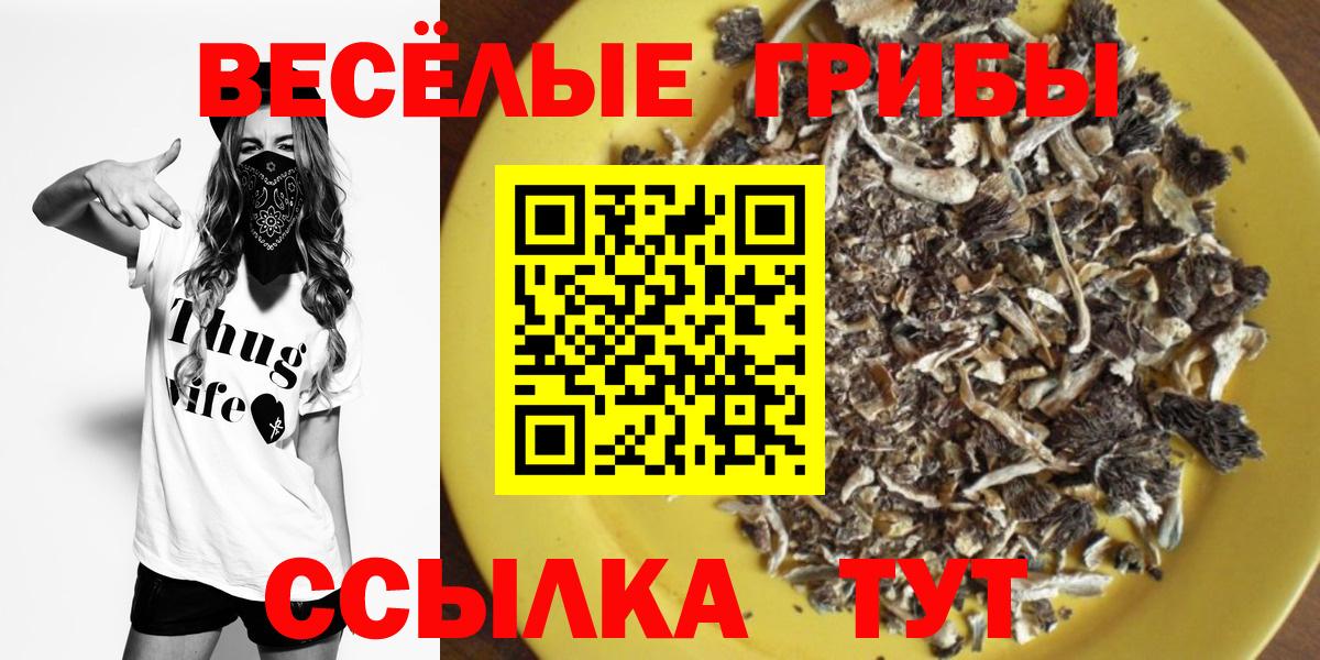 Псилоцибиновые грибы ЛСД  Вход с VPN  Карпинск 